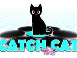 Catch The Cats